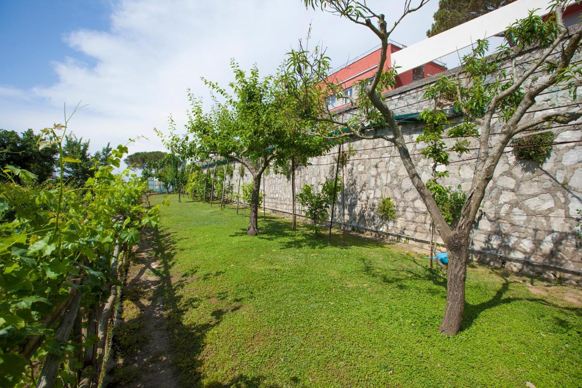 Villa Mambrini Sorrento Bagian luar foto